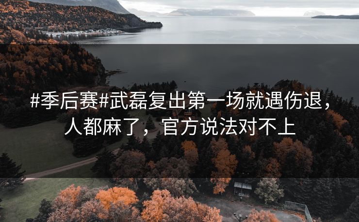 #季后赛#武磊复出第一场就遇伤退,人都麻了,官方说法对不上