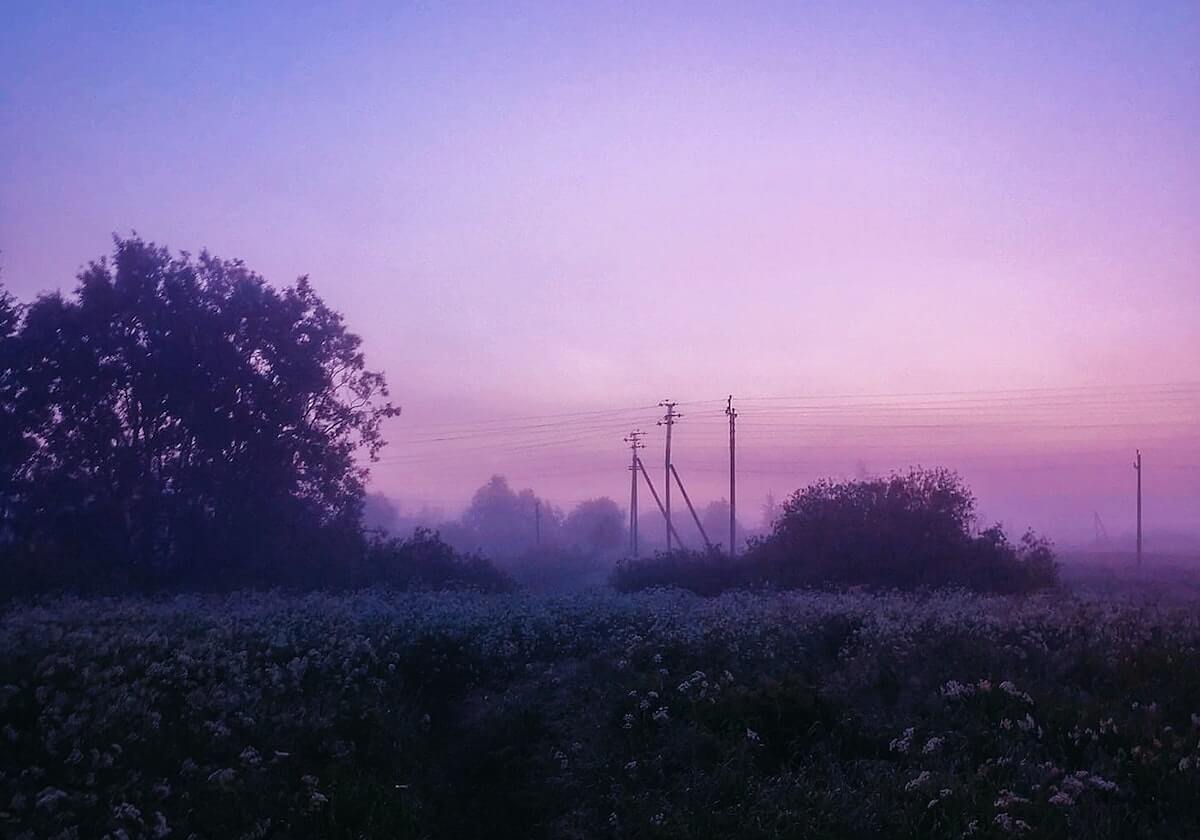 字母哥在CBA中的换人争议,少有人注意的关键影响曝光